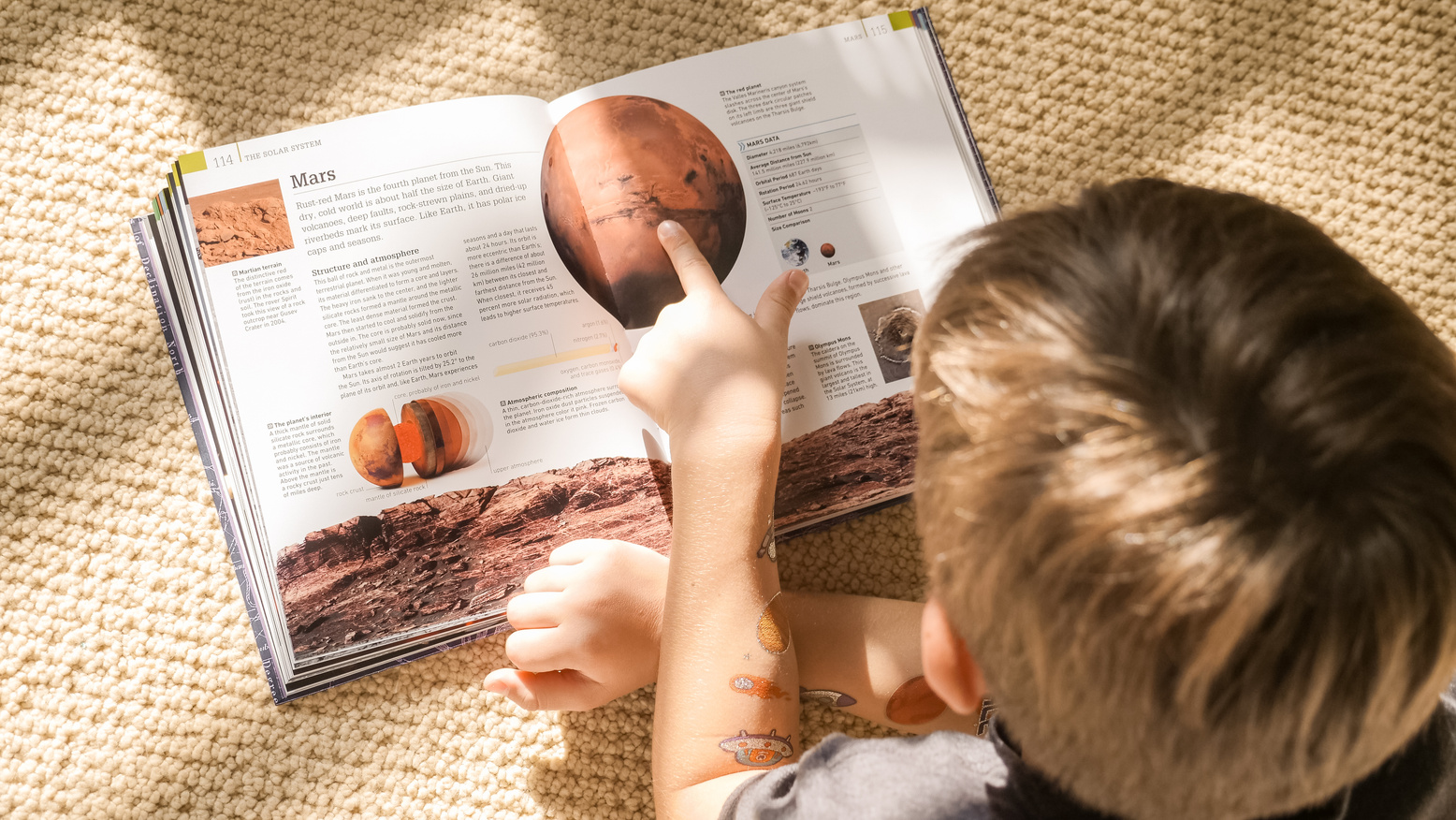 Boy reading a Book 